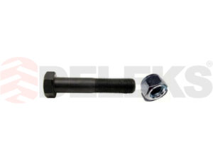 10 Bolts + nuts L ø12mm