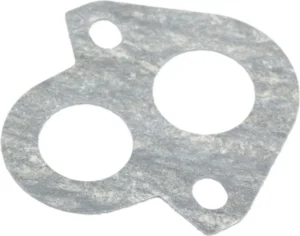 Blīve Kawasaki
