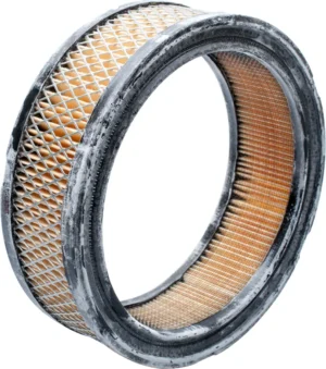 Gaisa filtrs B&S okrągły Vanguard