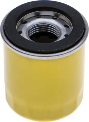 Eļļas filtrs B&S Intek dzinējiem