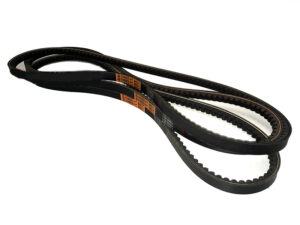 3 belts JAGUAR / INTERFILA