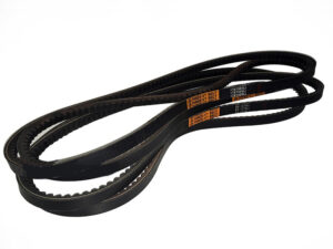 4 belts PUMA/LEO