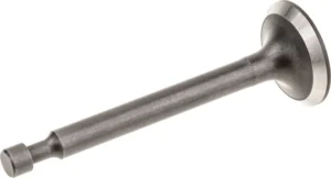 Zawór ssący Cedrus Y139V
