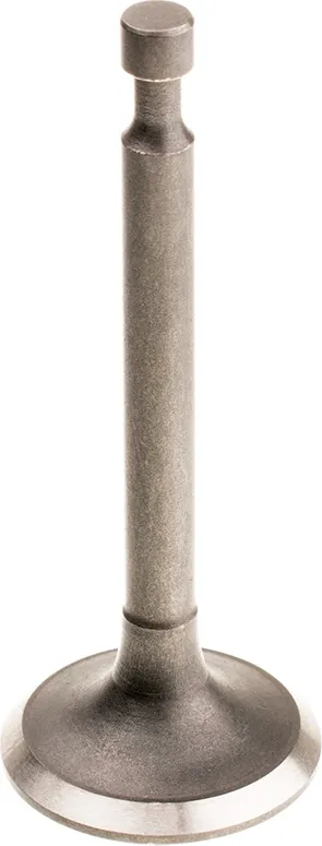 Zawór ssący Cedrus Y196V