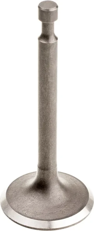 Zawór wydechowy Cedrus Y196V