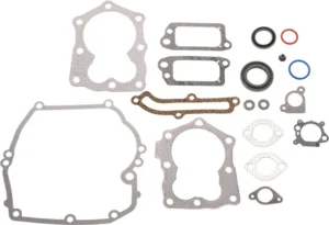 Blīvju komplekts B&S Series 600 Quantum
orģināla detaļa