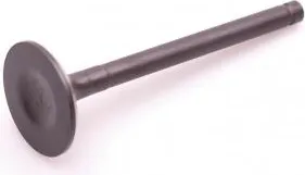 Zawór ssący/wydechowy Rato silnik R670