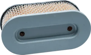 Gaisa filtrs B&S  5.5HP OHV VANGUARD pionowy wał