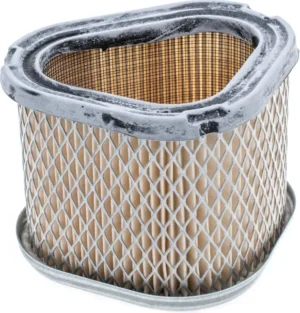 Gaisa filtrs Kohler CV11-15Large