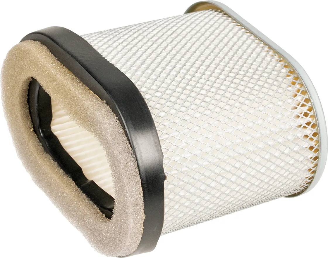 8R01-39_01 Gaisa filtrs B&S Quantum nowy owalny - Image 1