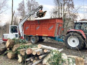 Log grapple mini excavators